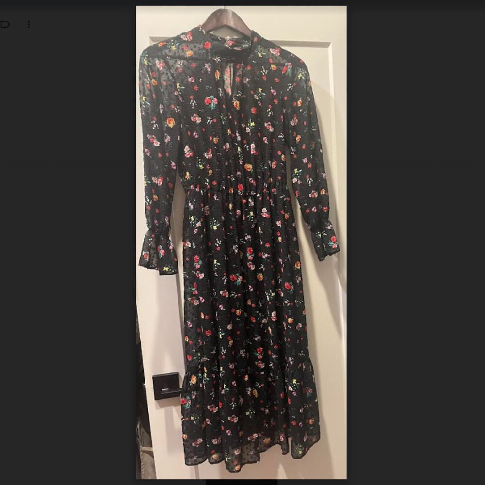Sheer Black Dress, Banana Republic